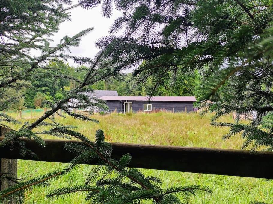 Drummacahan Lodge Ederny Exteriör bild